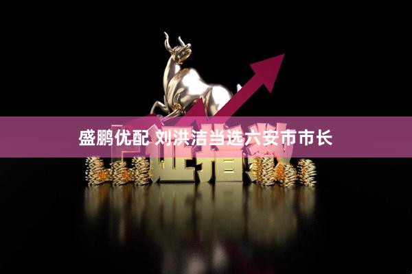 盛鹏优配 刘洪洁当选六安市市长