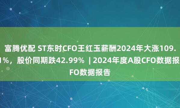 富腾优配 ST东时CFO王红玉薪酬2024年大涨109.41%，股价同期跌42.99%  | 2024年度A股CFO数据报告