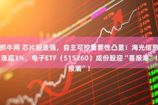 抓牛网 芯片股走强，自主可控重要性凸显！海光信息涨超3%，电子ETF（515260）成份股迎“喜报潮”！