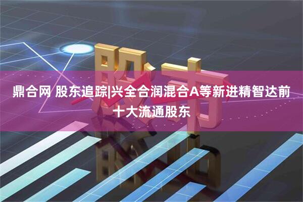 鼎合网 股东追踪|兴全合润混合A等新进精智达前十大流通股东