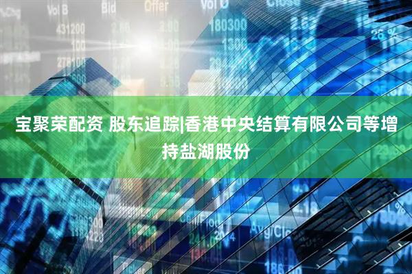 宝聚荣配资 股东追踪|香港中央结算有限公司等增持盐湖股份