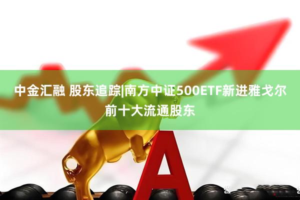中金汇融 股东追踪|南方中证500ETF新进雅戈尔前十大流通股东