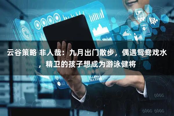 云谷策略 非人哉：九月出门散步，偶遇鸳鸯戏水，精卫的孩子想成为游泳健将