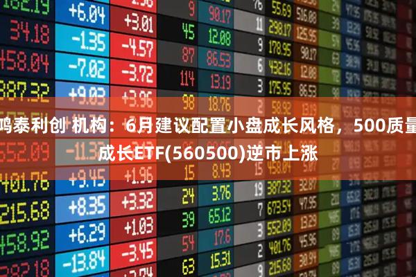 鸿泰利创 机构：6月建议配置小盘成长风格，500质量成长ETF(560500)逆市上涨