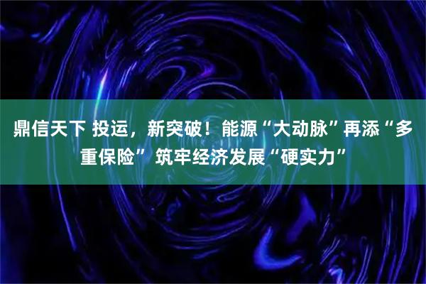 鼎信天下 投运，新突破！能源“大动脉”再添“多重保险” 筑牢经济发展“硬实力”