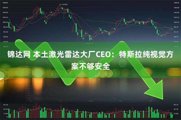 锦达网 本土激光雷达大厂CEO：特斯拉纯视觉方案不够安全