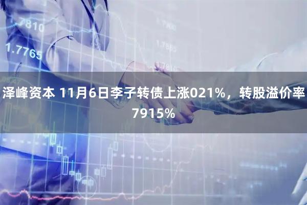 泽峰资本 11月6日李子转债上涨021%，转股溢价率7915%
